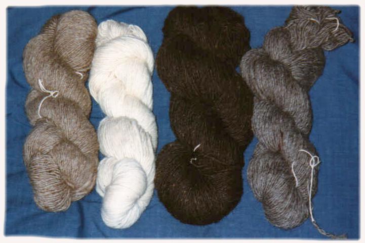 Yarn in four natural colors